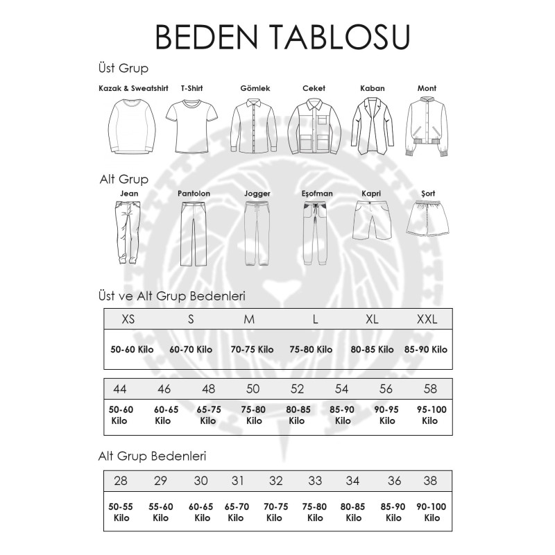 Erkek Regular Fit Apaş Yaka Kısa Kollu Çizgili Gömlek Kırmızı