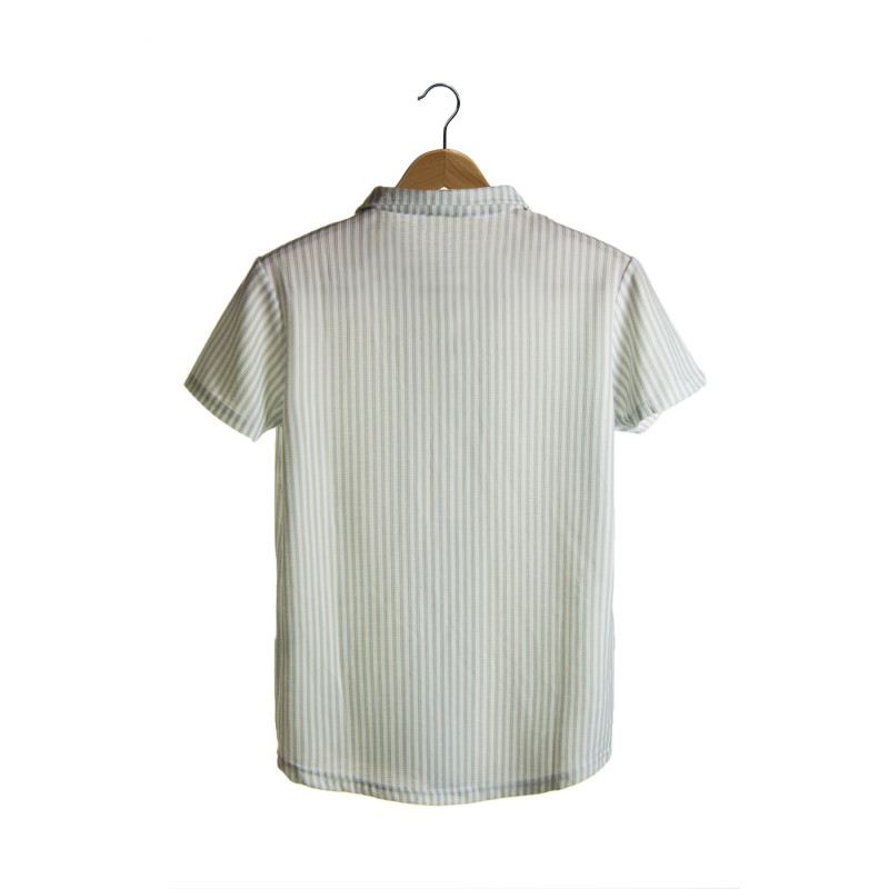 Erkek Açık Yeşil Kısa Kollu Pamuklu Dik Çizgili Slimfit Apaş