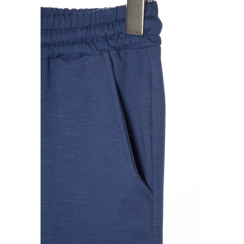 Erkek Kırçıllı Mavi Regular Fit Önü No Regret Baskılı Kısa Şort