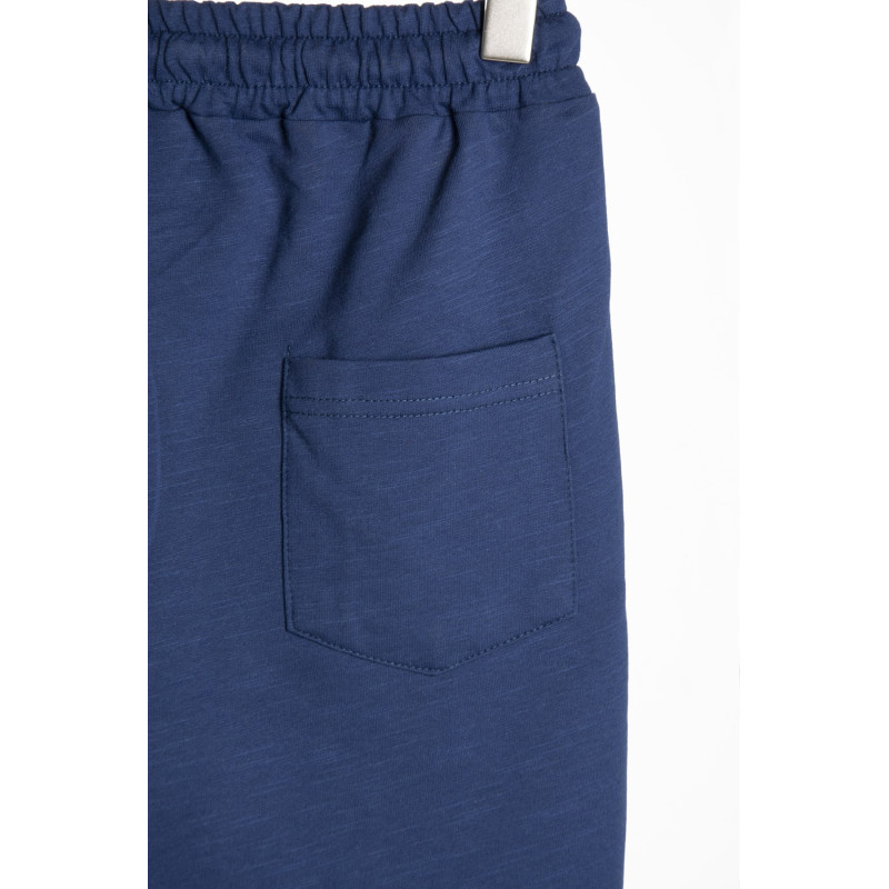 Erkek Kırçıllı Mavi Regular Fit Önü No Regret Baskılı Kısa Şort