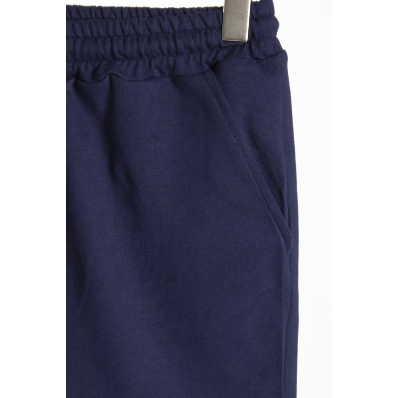 Erkek Lacivert Regular Fit Önü 90's Baskılı Kısa Şort & Bermuda